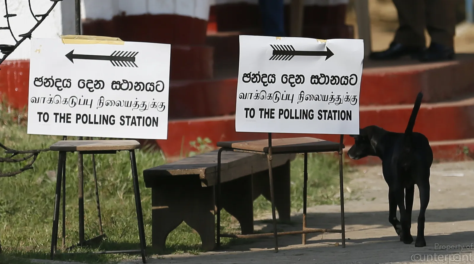 What’s this all about, a dog seems to wonder walking past signs directing voters to polling booths.