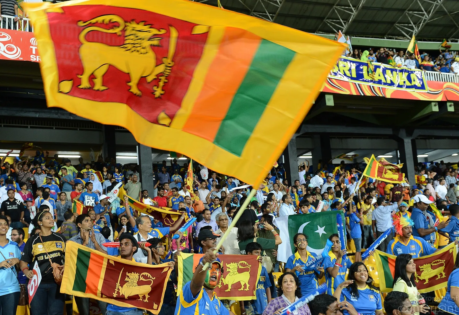Happiness and fun at a cricket match
