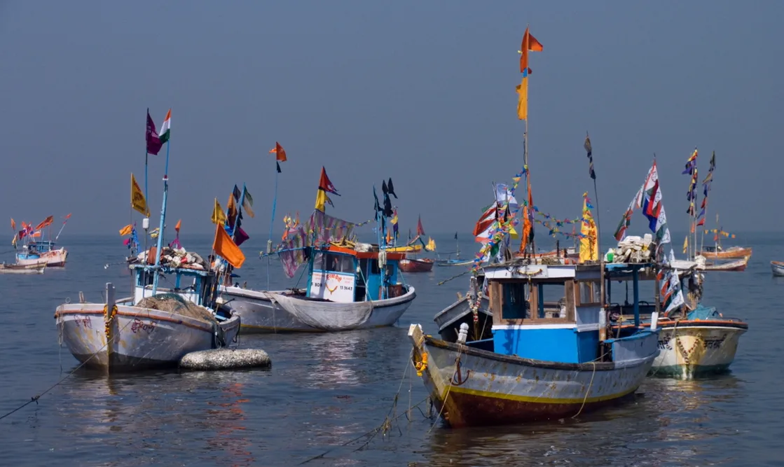 The intrusion of Indian fishing boats into Lankan waters: Jaffna ...